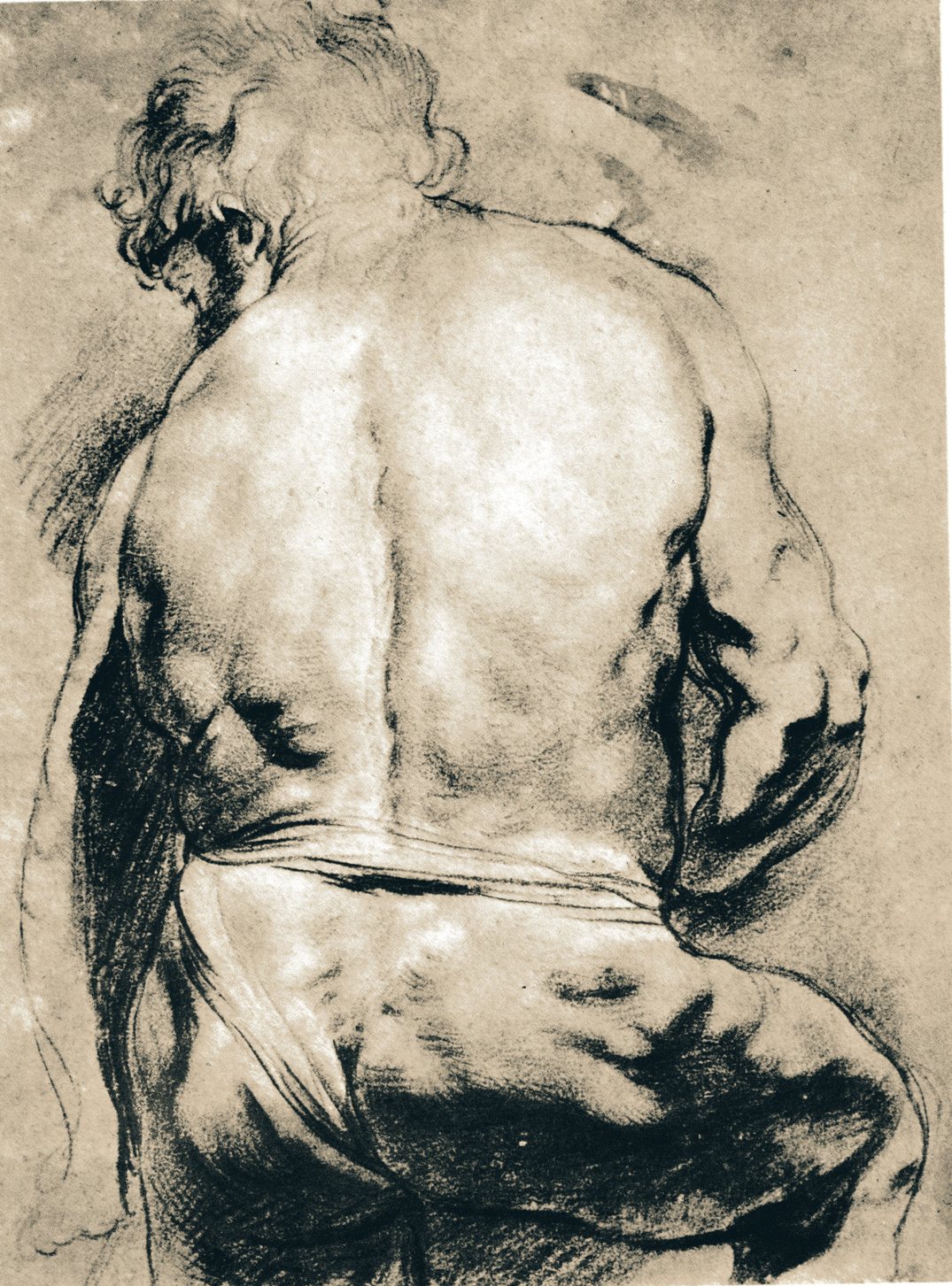 Back pain relief starts with physical fitness and healthy spine care.  Old Masters drawing of the back of a muscular man (Rubens)