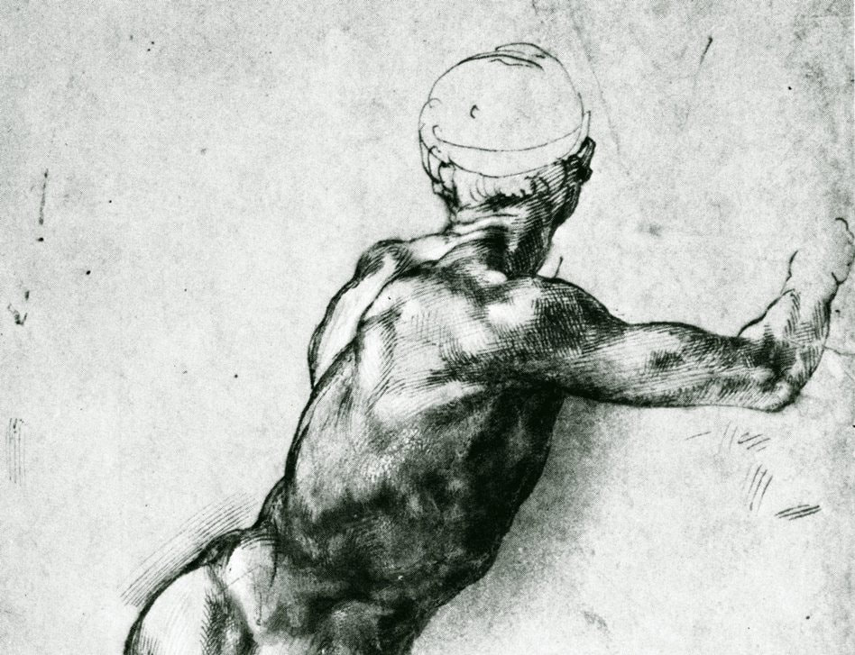 Old masters drawing of the muscles of the upper back.