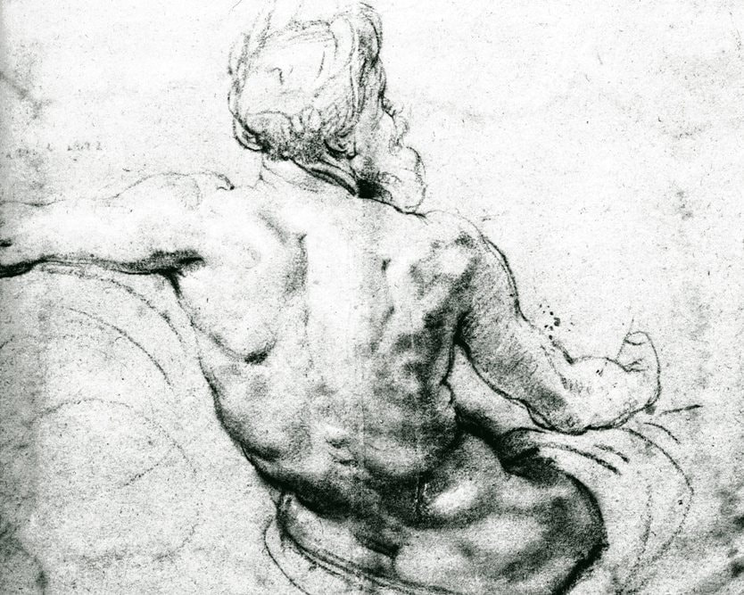 Back physical therapy. Old masters drawing of the muscles of the back.