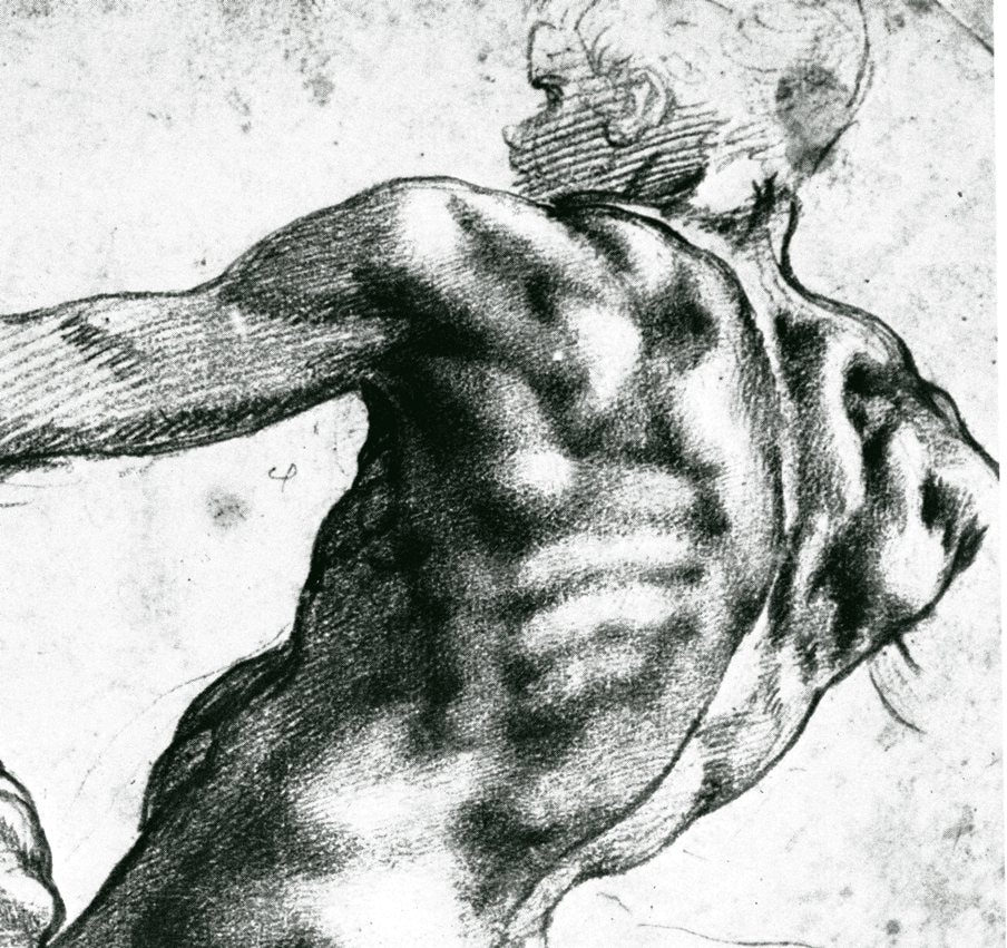 Diagnosing back problems requires taking a careful history.Old masters drawing of the muscles of the back.